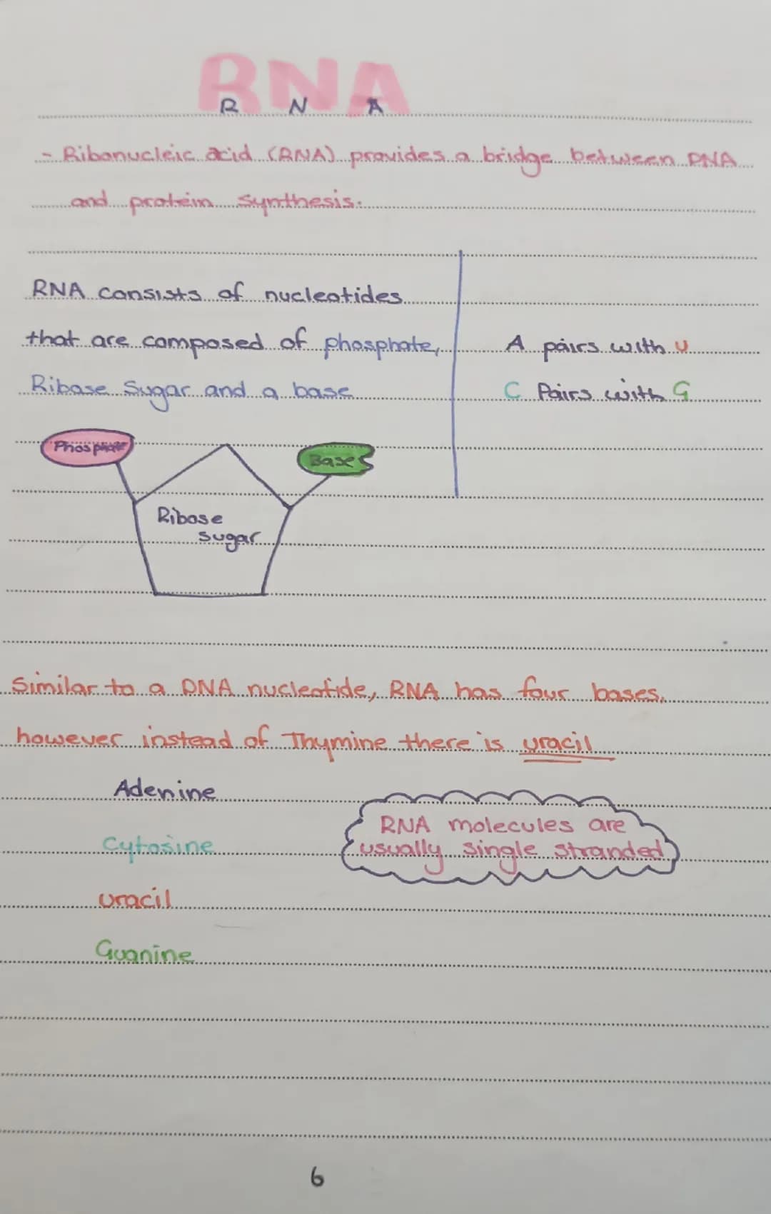 THE STRUCTURE OF DHA
double Stranded helix
and
The DNA is in the form of a doubled
Consists of two strands of repeating units called nucleot