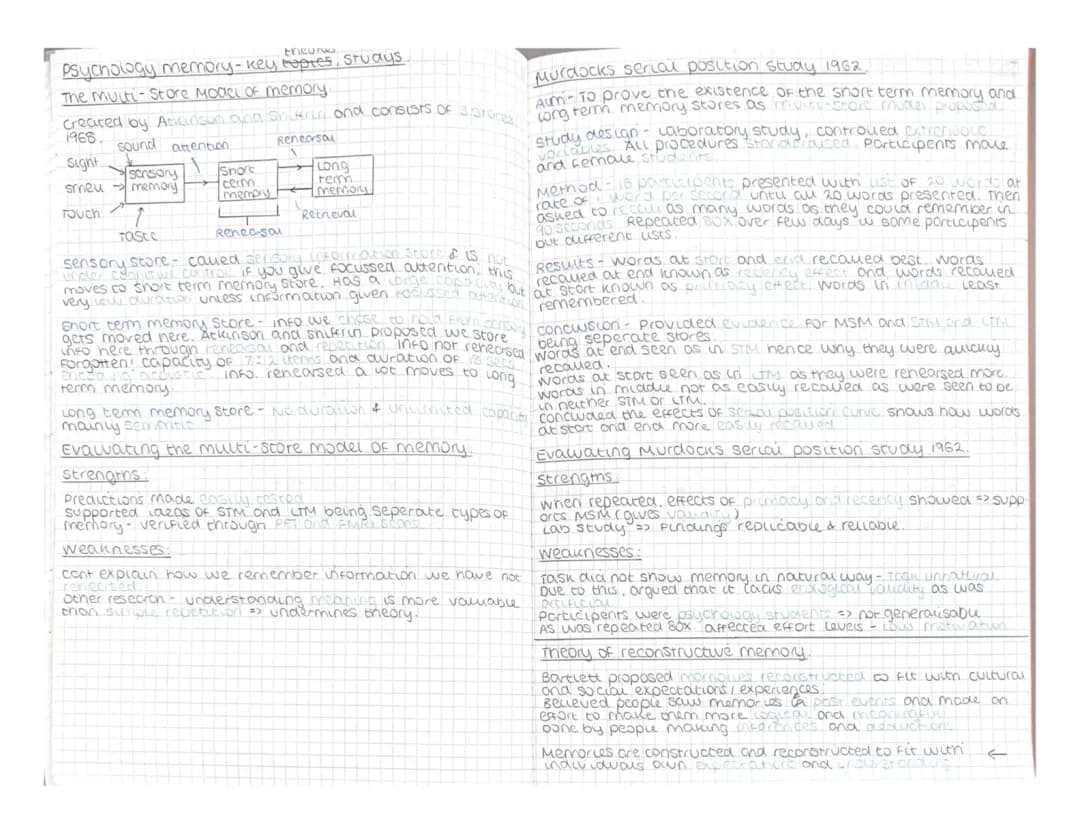 Understanding Murdock's 1962 Serial Position Study and Memory Psychology