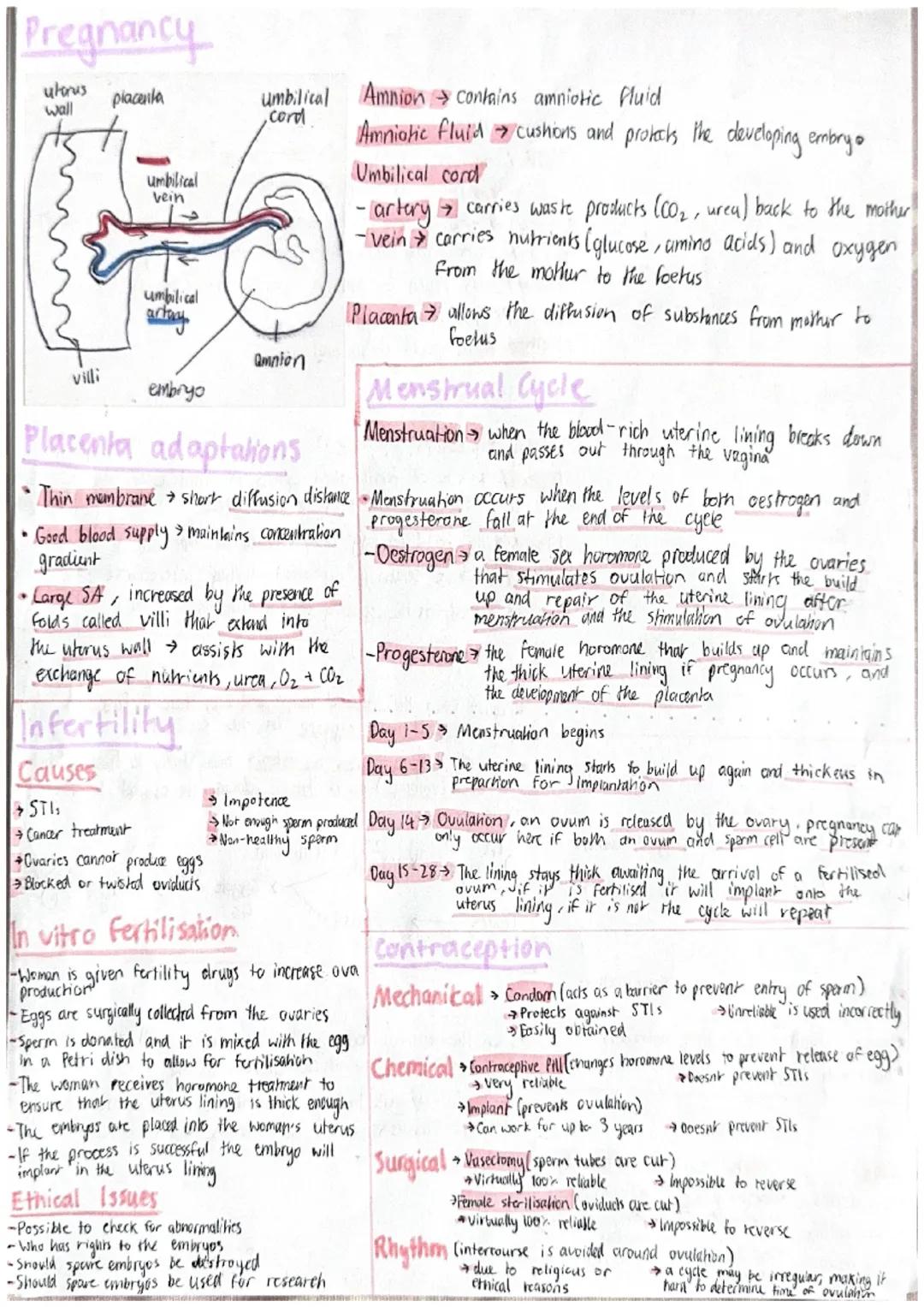 REPRODUCTION +FERTILITY
Reproductive systems - Male
bladder
glands
Urethra
-penis
-sperm
duck
testis.
Scrotum
foreskin
Oviduct
Uterus
Ovary
