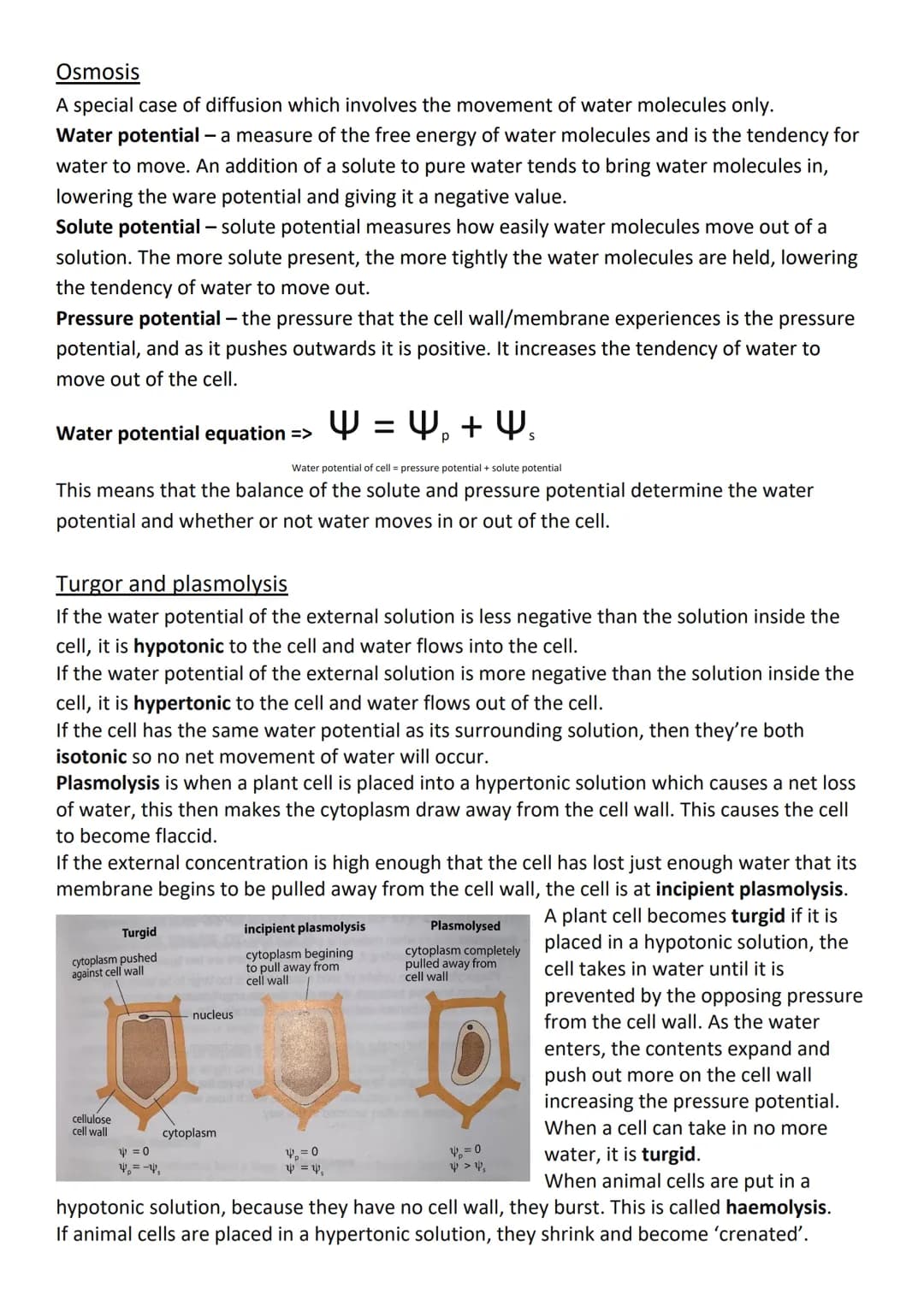 Cell membranes and transport
Phospholipids
They're important components of cell membranes and they form the basis of membrane
structure beca