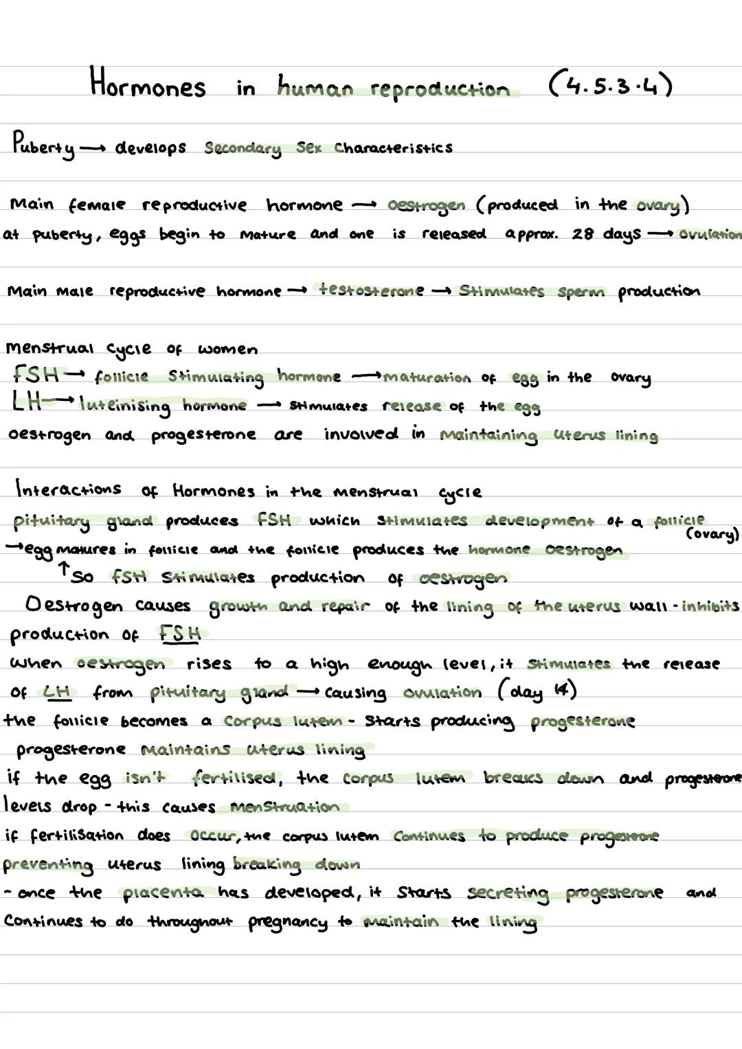 Hormones in human reproduction (4.5.3.4)
Puberty develops Secondary Sex Characteristics
-
Main female reproductive hormone → oestrogen (prod