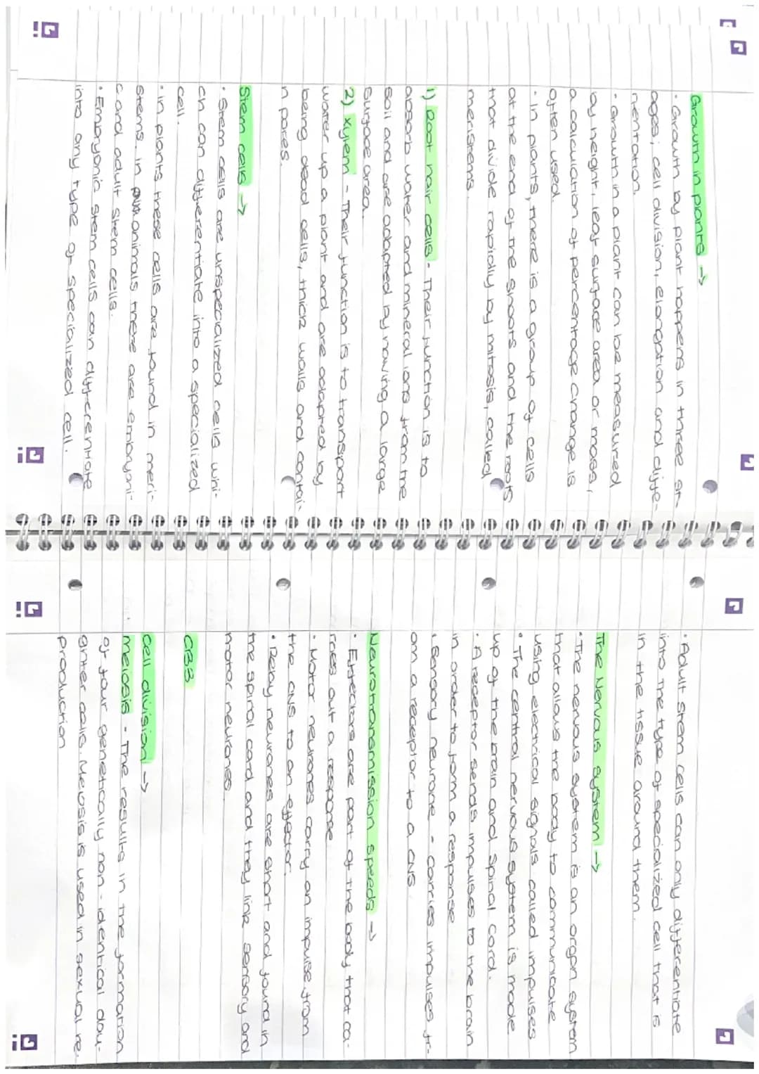 I overishing
fish in small.
ose and para-
ve to a place
on fertilizer
anal aquatic
SE
(D)
I
revision
Paper 1
CB2
Biology
Mitosis -
• The cel