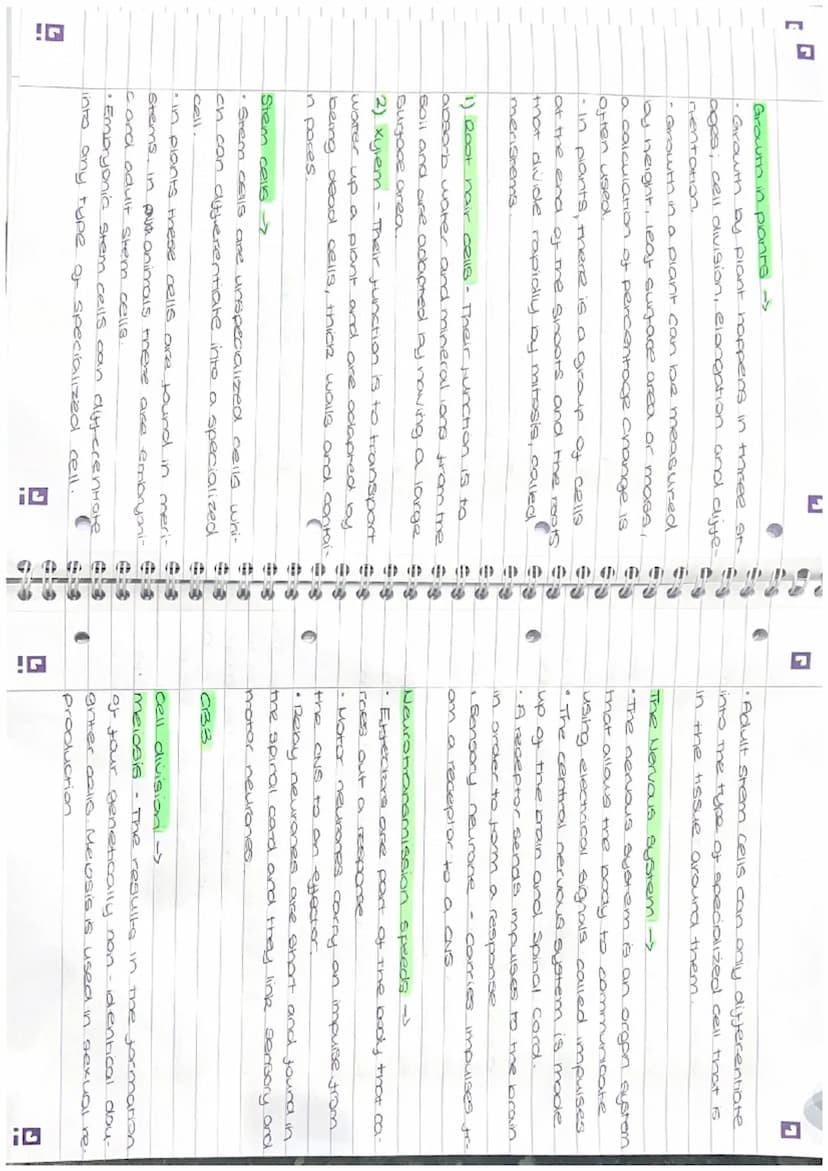 I overishing
fish in small.
ose and para-
ve to a place
on fertilizer
anal aquatic
SE
(D)
I
revision
Paper 1
CB2
Biology
Mitosis -
• The cel
