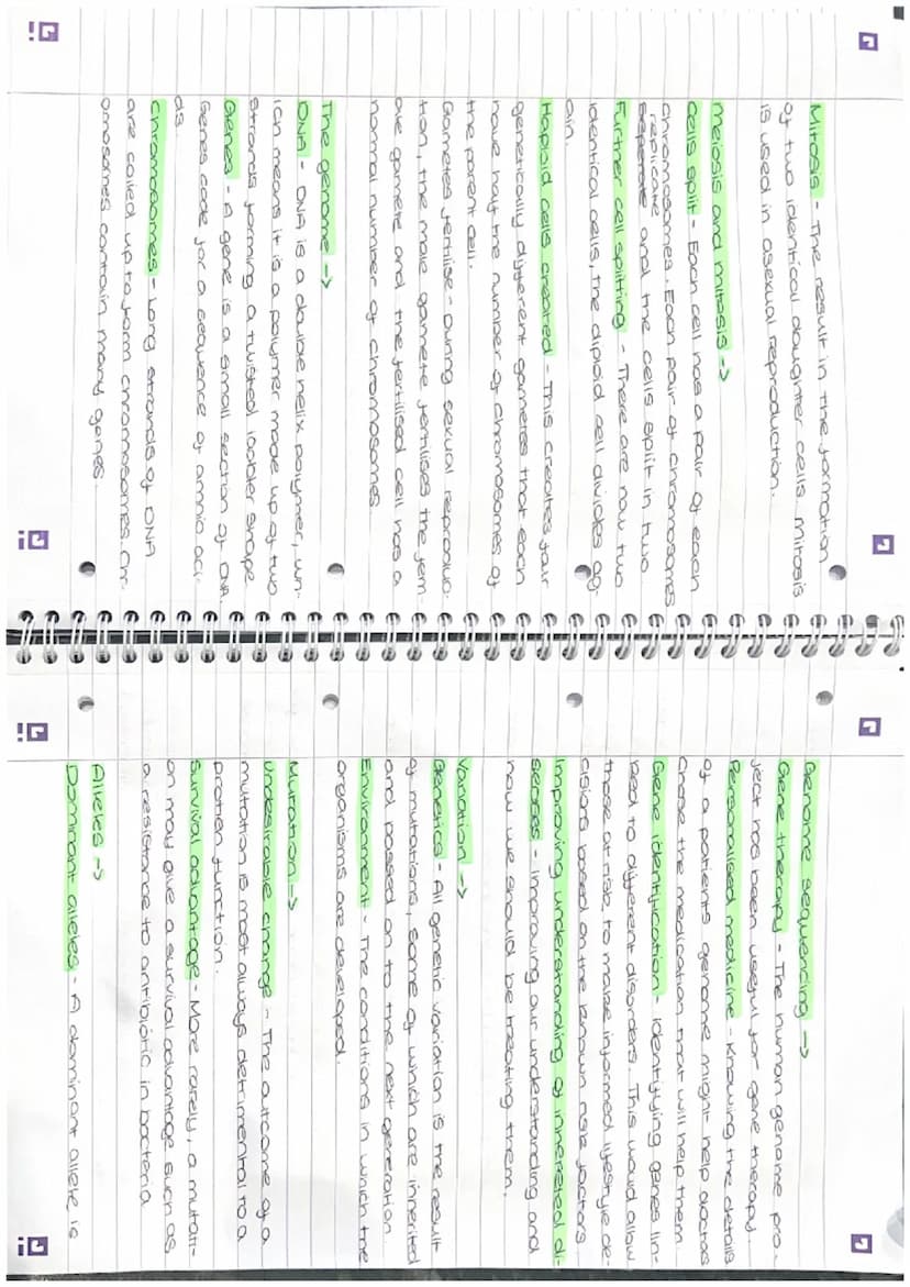 I overishing
fish in small.
ose and para-
ve to a place
on fertilizer
anal aquatic
SE
(D)
I
revision
Paper 1
CB2
Biology
Mitosis -
• The cel