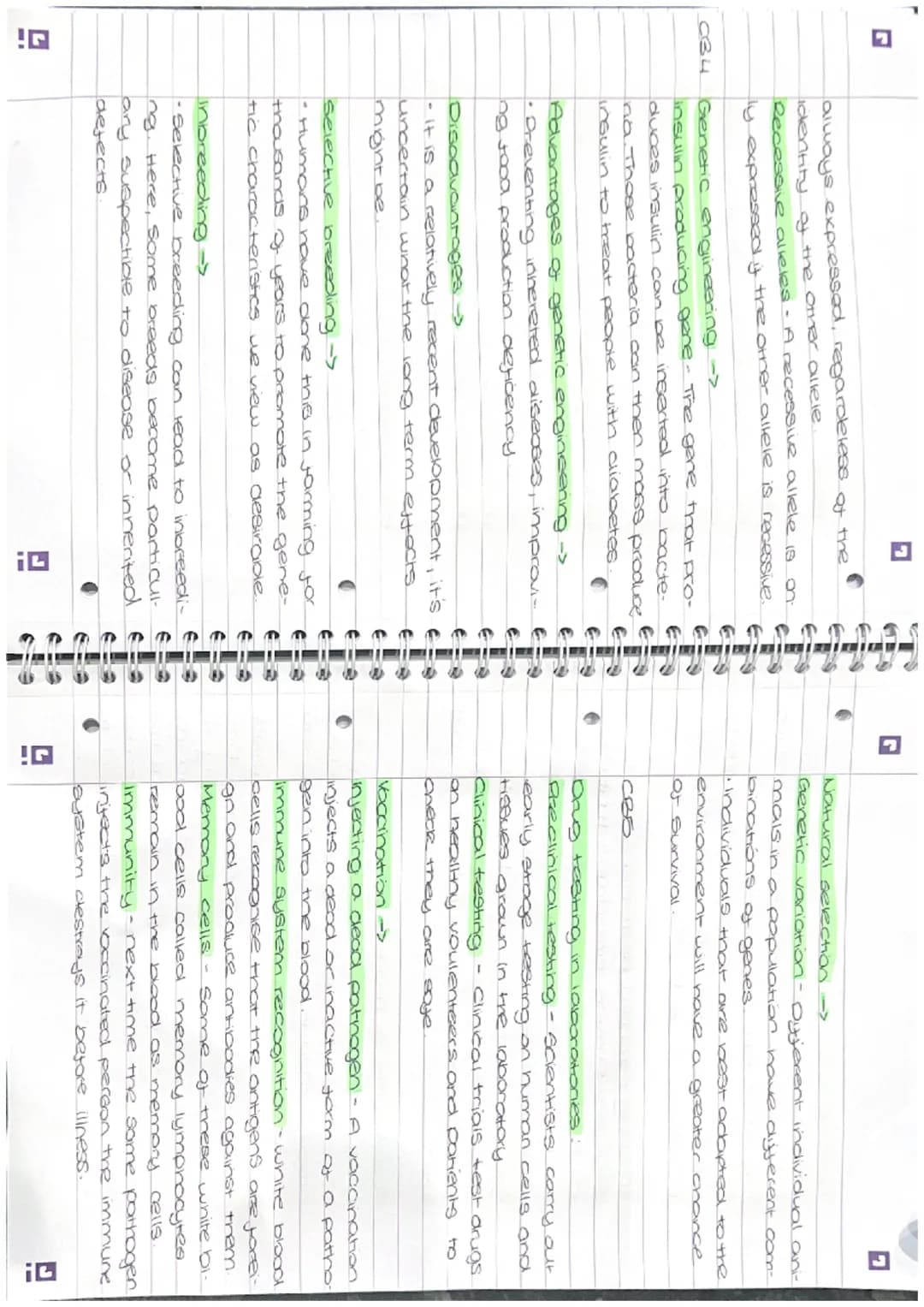 I overishing
fish in small.
ose and para-
ve to a place
on fertilizer
anal aquatic
SE
(D)
I
revision
Paper 1
CB2
Biology
Mitosis -
• The cel