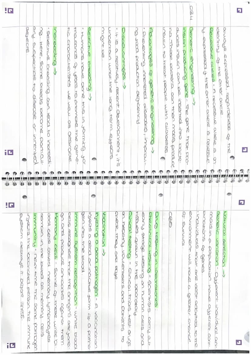 I overishing
fish in small.
ose and para-
ve to a place
on fertilizer
anal aquatic
SE
(D)
I
revision
Paper 1
CB2
Biology
Mitosis -
• The cel