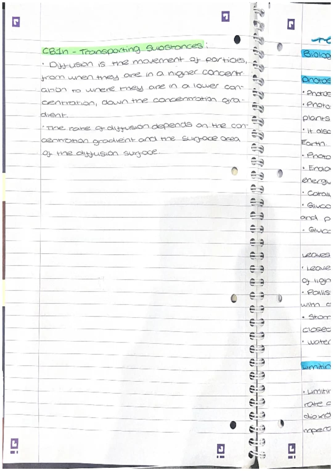 I overishing
fish in small.
ose and para-
ve to a place
on fertilizer
anal aquatic
SE
(D)
I
revision
Paper 1
CB2
Biology
Mitosis -
• The cel