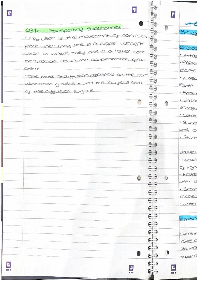 I overishing
fish in small.
ose and para-
ve to a place
on fertilizer
anal aquatic
SE
(D)
I
revision
Paper 1
CB2
Biology
Mitosis -
• The cel