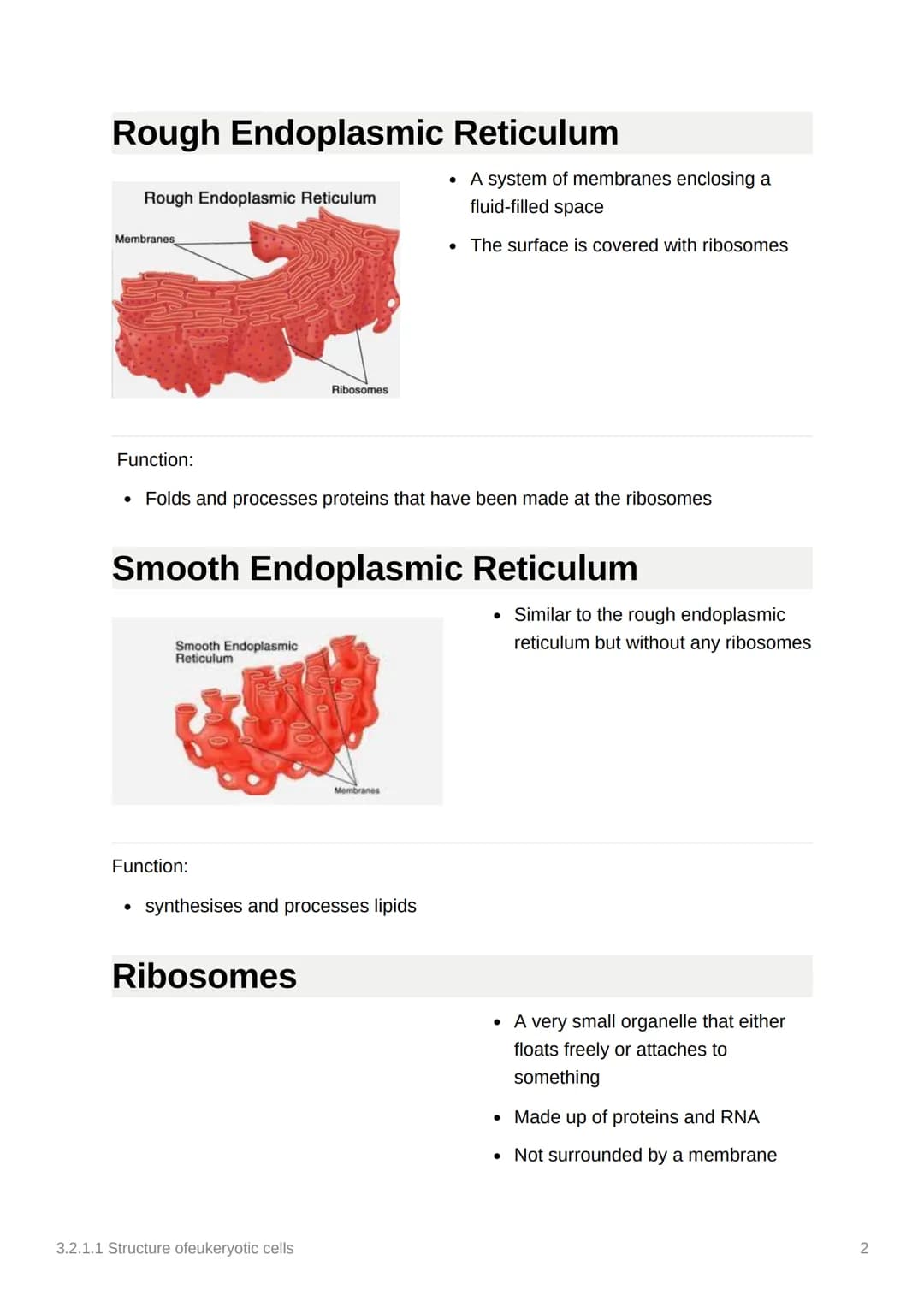 3.2.1.1 Structure ofeukeryotic
cells
Mitochondrion
Intermembrane Space
Function:
hins
Lumen
Newly
forming
vesicle
Inner membrane
Golgi Appar