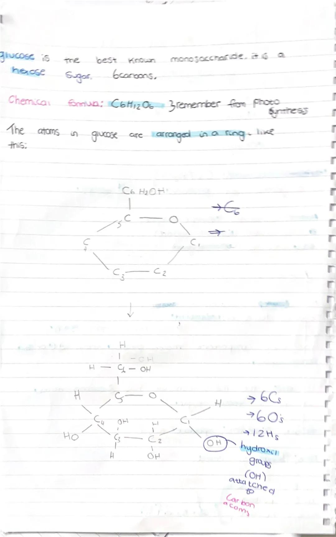 Biology
GA
All
As level
1.1
Carbohydrates
Contain only
-Carbon
-hydrogen
-охудет
3 elements:
General formula: Cx (H₂Oly
Carbohydrates are di