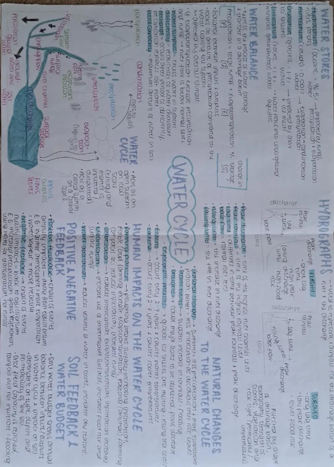 Water and Carbon Cycles SUMMARISED
