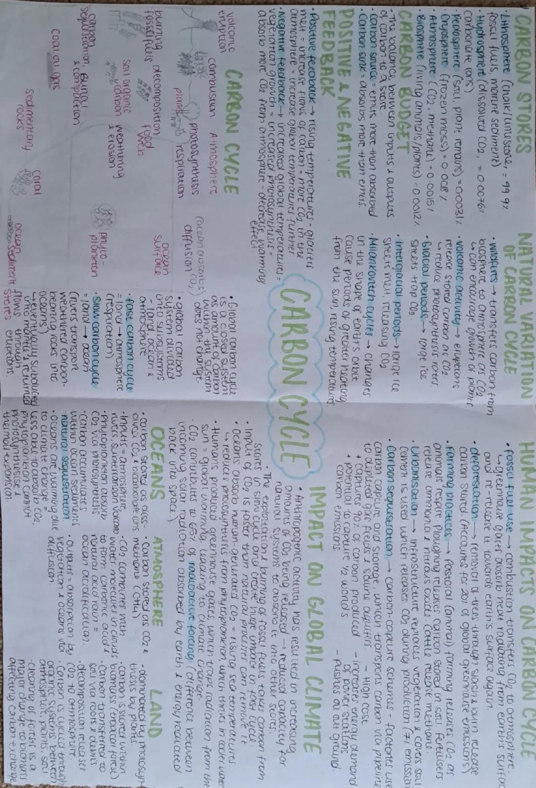 # WATER STORES

- Rivers/ponds (ocean - 96.5%) → precipitation by evaporation
- Atmosphere (clouds) - $CO_2$
- Groundwater (aquifers) - 1.74