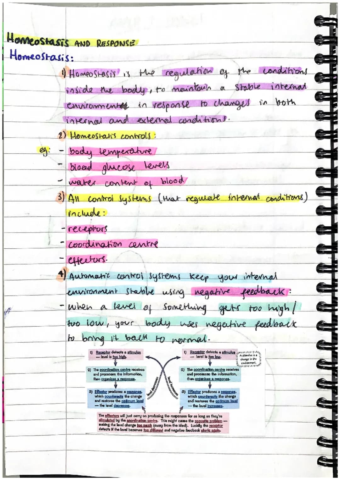 Homeostasis AND RESPONSE:
Homeostasis:
1) Homeostasis is the regulation of the conditions
inside the body, to maintain a stable internas
env