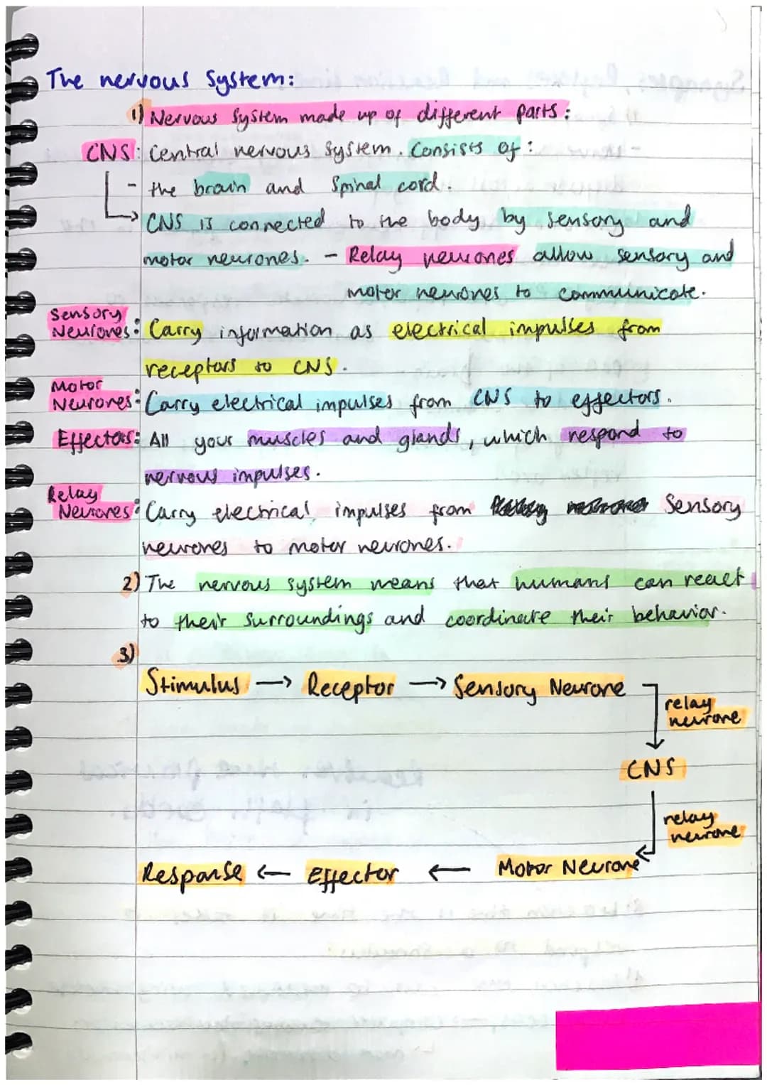 Homeostasis AND RESPONSE:
Homeostasis:
1) Homeostasis is the regulation of the conditions
inside the body, to maintain a stable internas
env