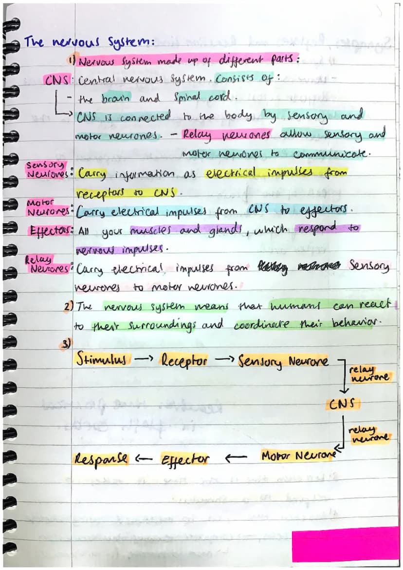 Homeostasis AND RESPONSE:
Homeostasis:
1) Homeostasis is the regulation of the conditions
inside the body, to maintain a stable internas
env