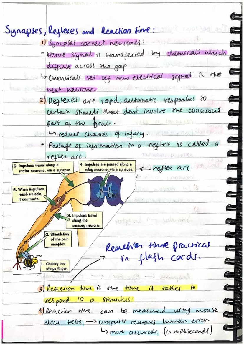 Homeostasis AND RESPONSE:
Homeostasis:
1) Homeostasis is the regulation of the conditions
inside the body, to maintain a stable internas
env
