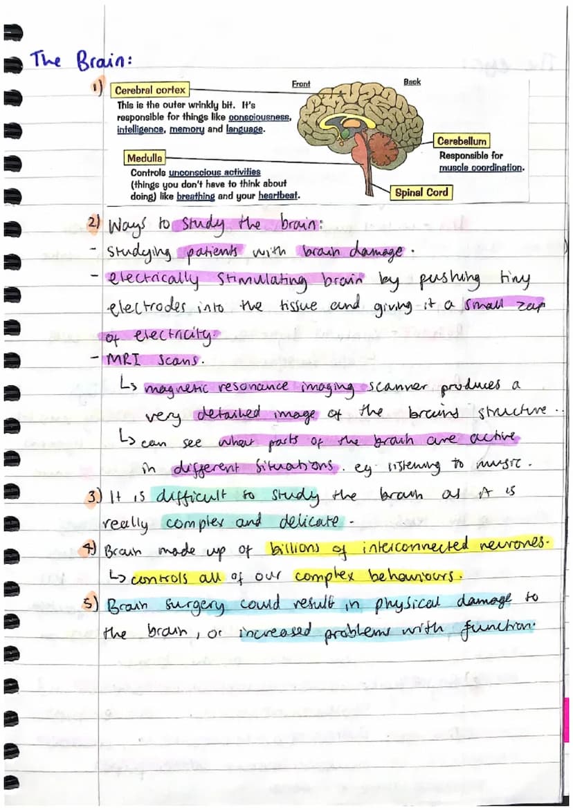Homeostasis AND RESPONSE:
Homeostasis:
1) Homeostasis is the regulation of the conditions
inside the body, to maintain a stable internas
env
