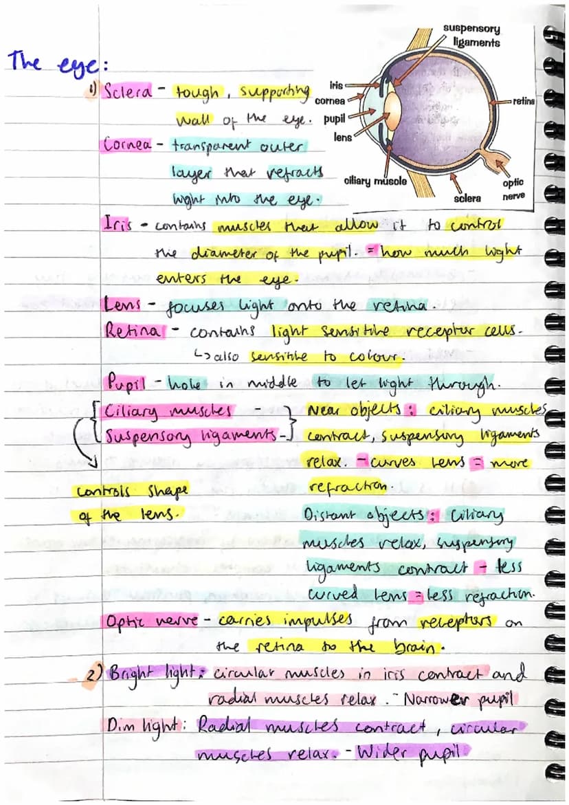 Homeostasis AND RESPONSE:
Homeostasis:
1) Homeostasis is the regulation of the conditions
inside the body, to maintain a stable internas
env