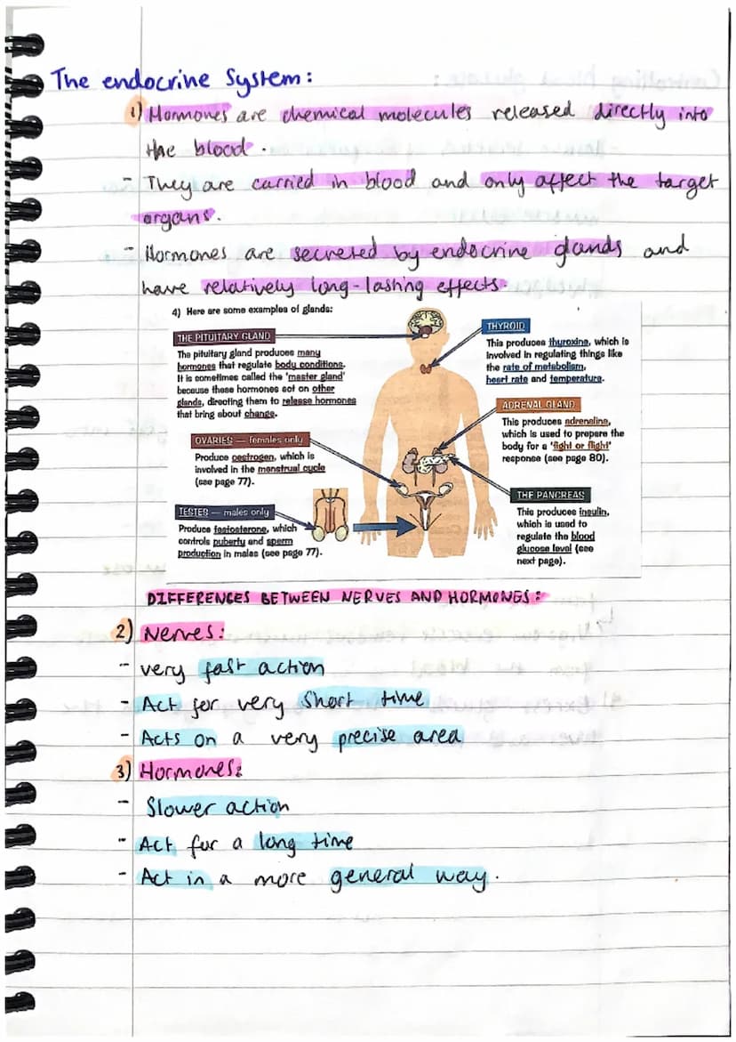 Homeostasis AND RESPONSE:
Homeostasis:
1) Homeostasis is the regulation of the conditions
inside the body, to maintain a stable internas
env