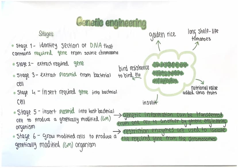 O
F animals consume plants or other
animas to obtain amino acids for
Protein synthesis
O ALGAL BLOOMS
р
D fertilisers can leach into fresh w