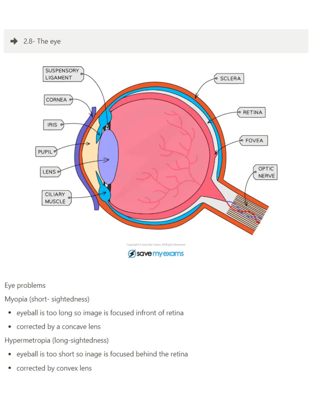 2.1- Mitosis
Mitosis - The asexual reproduction of diploid cells to produce two genetically identical diploid
daughter cells
Asexual reprodu