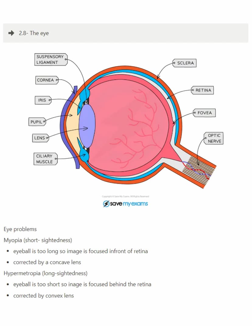 2.1- Mitosis
Mitosis - The asexual reproduction of diploid cells to produce two genetically identical diploid
daughter cells
Asexual reprodu