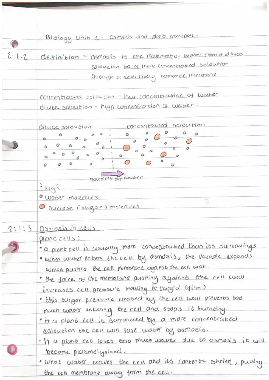 How Osmosis, Turgor Pressure, and Transpiration Affect Plant and Animal Cells