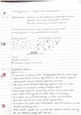 Know GCSE CCEA osmosis and plants transport (part one) thumbnail