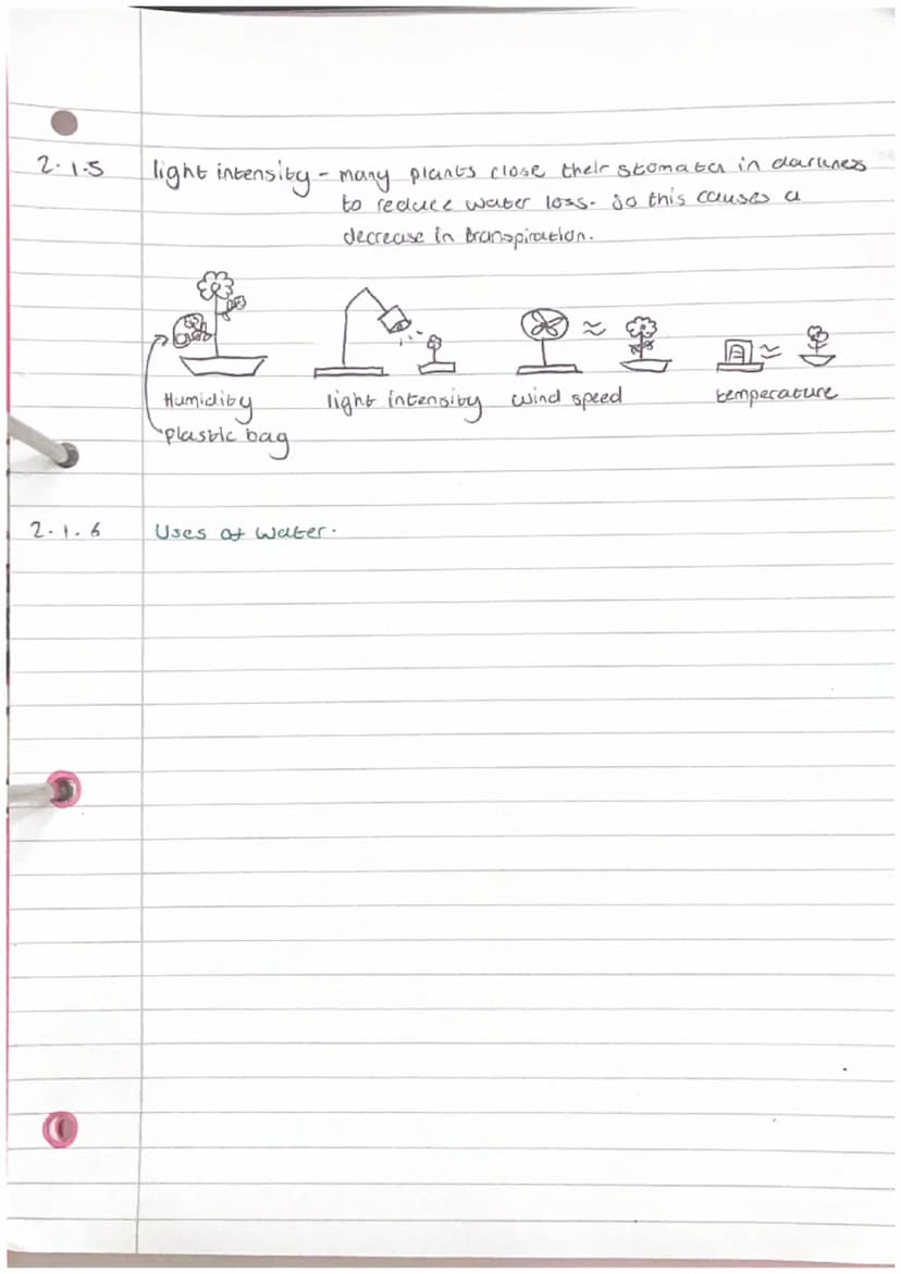 2.1.2
Biology Unit 2- Osmosis and plant transport.
definition Osmosis is the movement of water from a diluce
soloution to a more concentrate