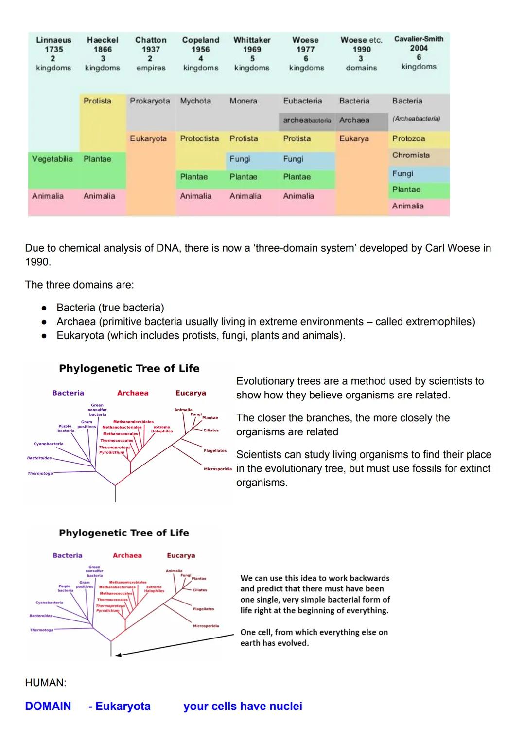 Classification:
Classification - Classification is the process of sorting living things into groups. Classification
hierarchy comprises the 