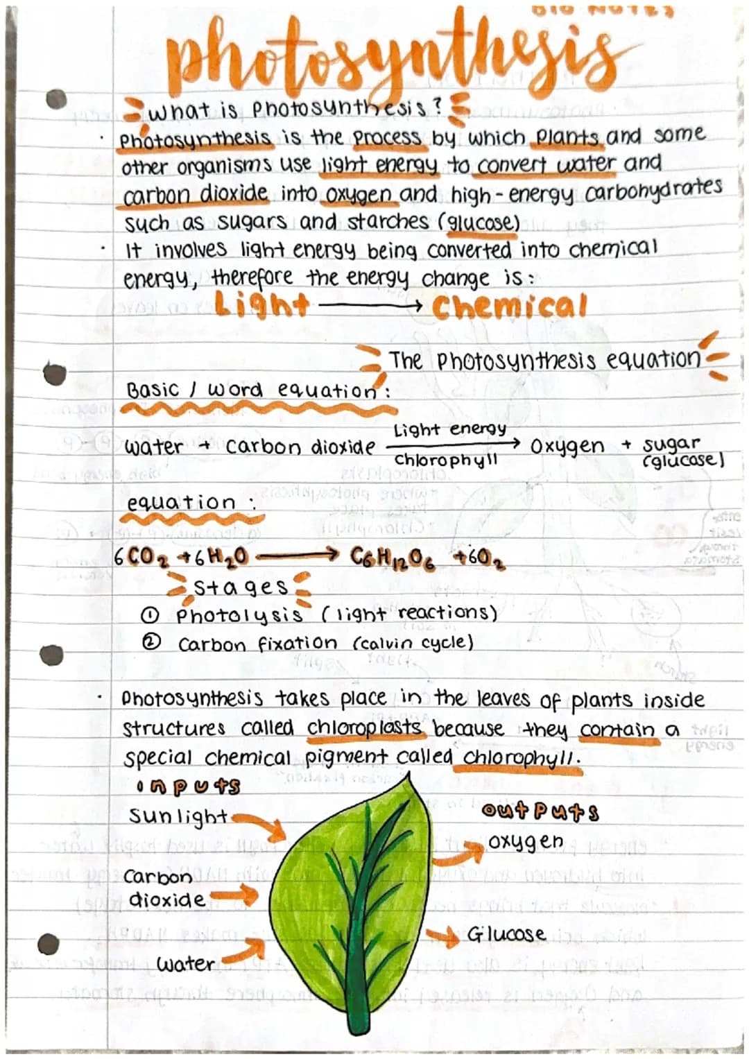 .
photosynthesis
what is Photosynthesis?
Photosynthesis is the process by which plants and some
other organisms use light energy to convert 