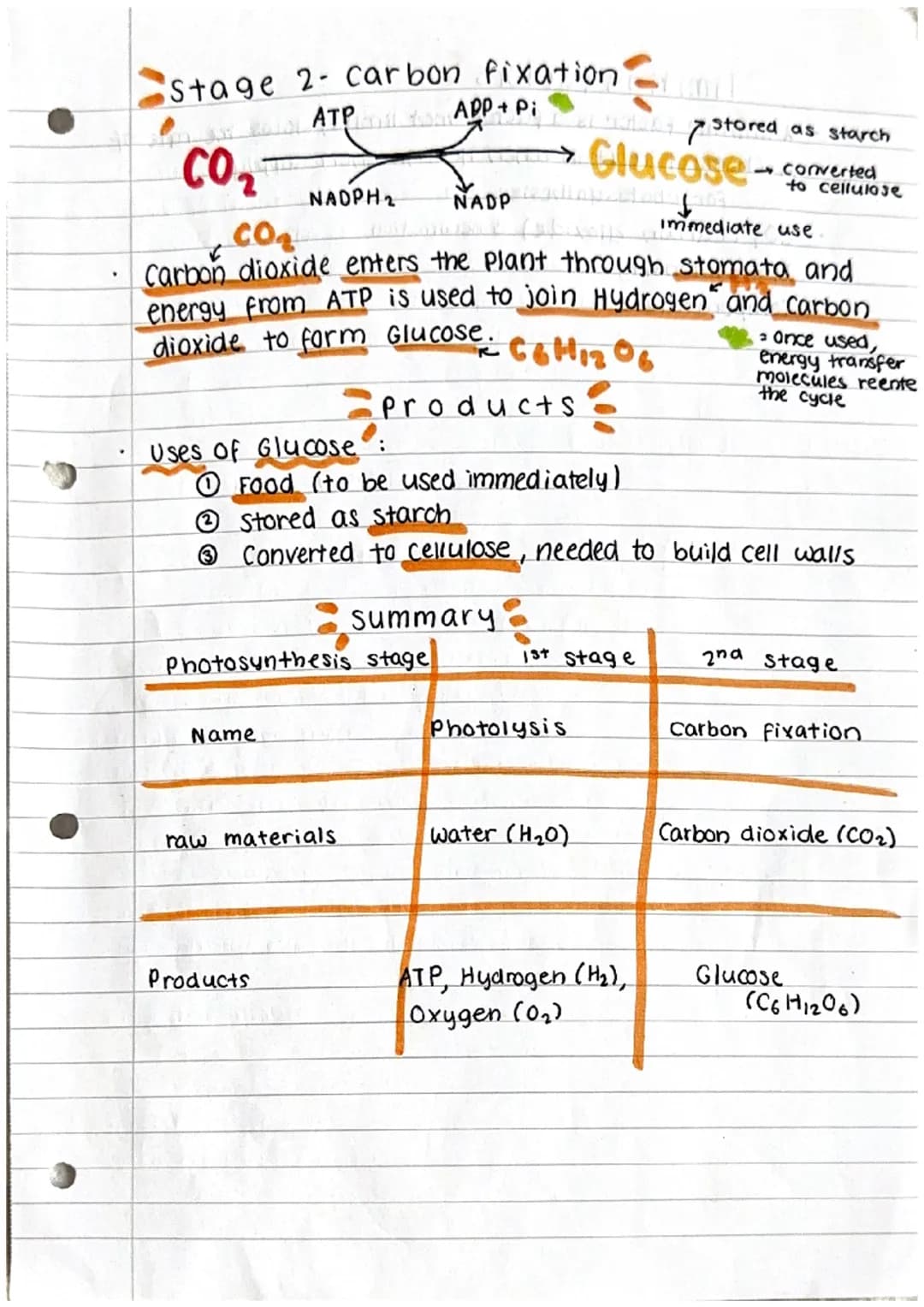 .
photosynthesis
what is Photosynthesis?
Photosynthesis is the process by which plants and some
other organisms use light energy to convert 
