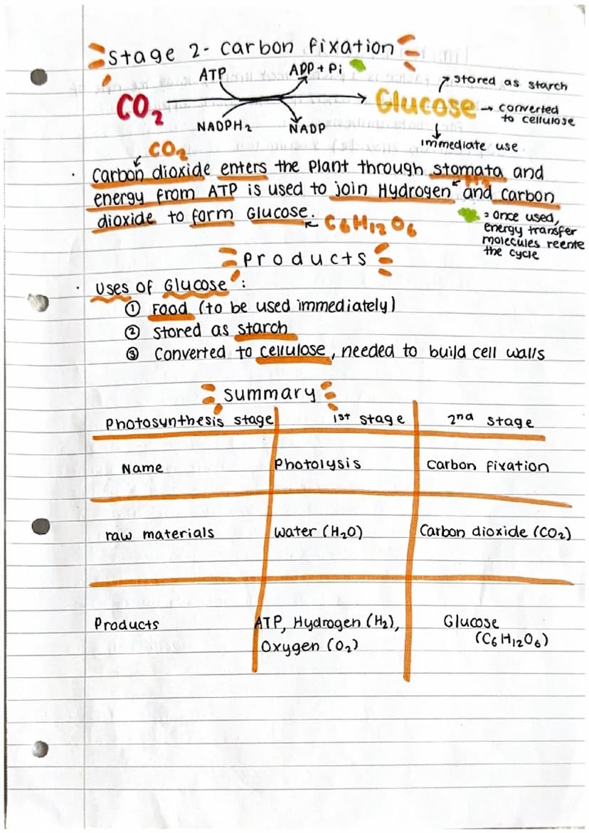 .
photosynthesis
what is Photosynthesis?
Photosynthesis is the process by which plants and some
other organisms use light energy to convert 