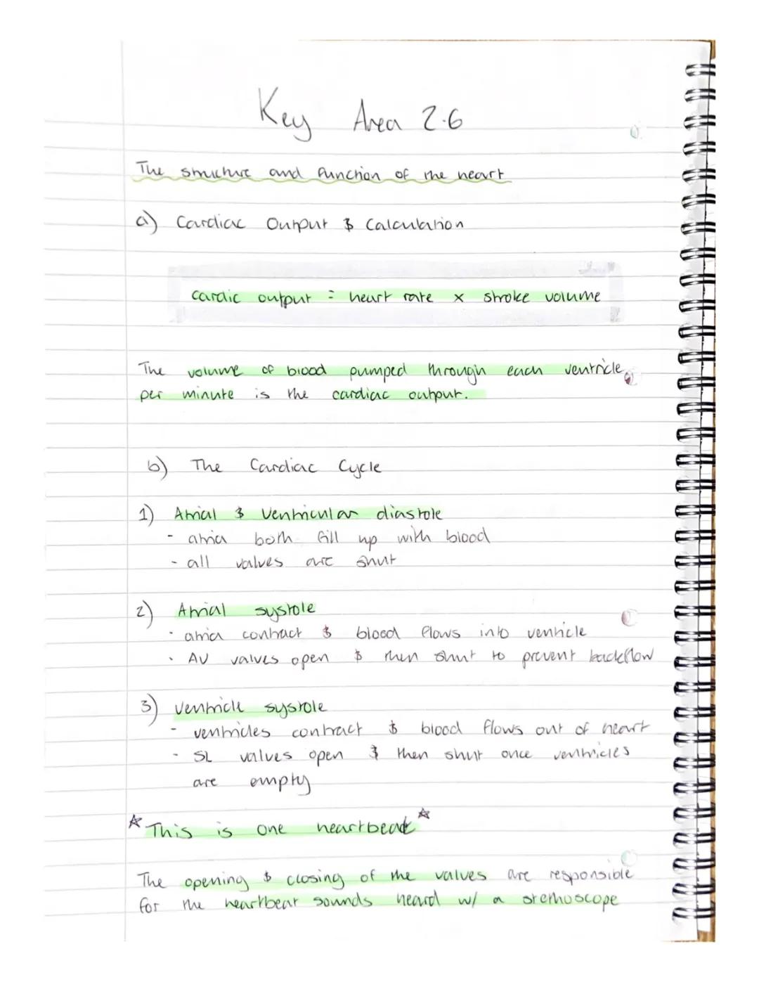 Higher Human Biology Key Area 2.6 - Heart Structure & Function (SQA Notes PDF)