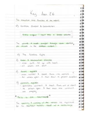 Know higher human biology - key area 2.6 ( structure and function of the heart)  thumbnail