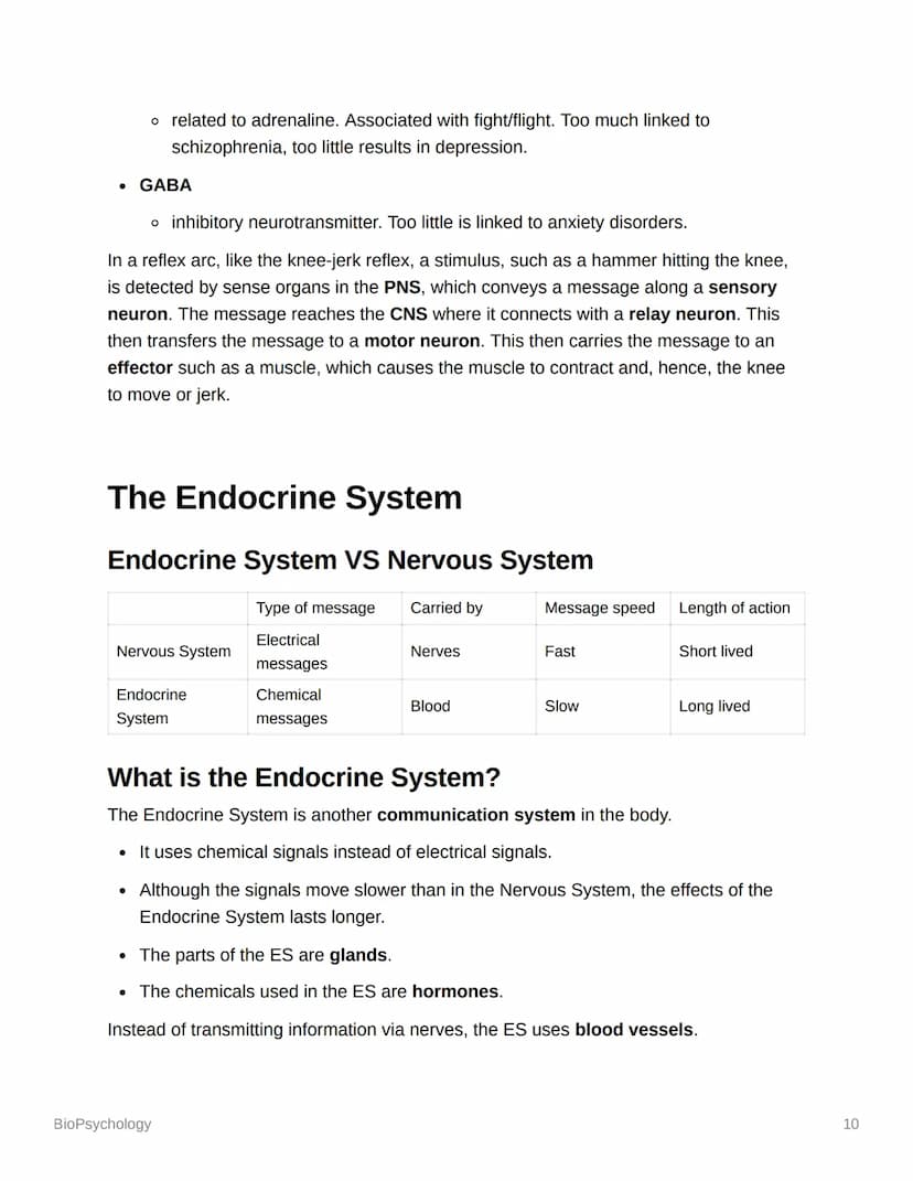 BioPsychology
Biopsyc Revision
The Nervous System
The nervous system is a specialised network of cells in the human body and is our
primary 