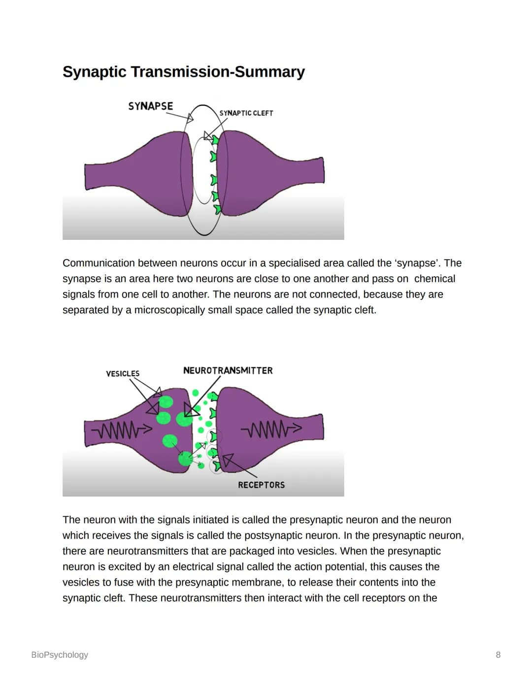 BioPsychology
Biopsyc Revision
The Nervous System
The nervous system is a specialised network of cells in the human body and is our
primary 