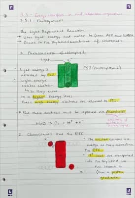 Know 3.5.1 - Photosynthesis  thumbnail