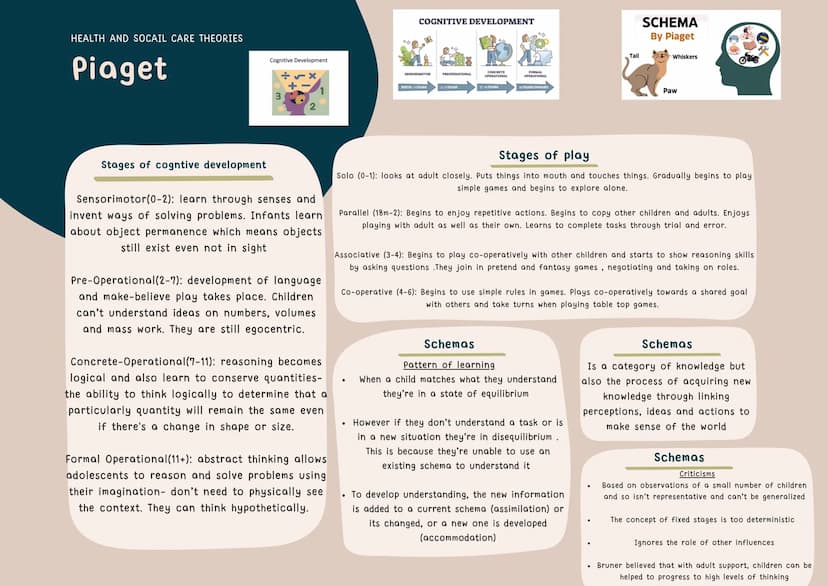 HEALTH & SOCIAL CARE THEORIES
CHOMSKY
Key Principles:
Everyone is born with the
capacity to develop and learn
any language
Language is insti