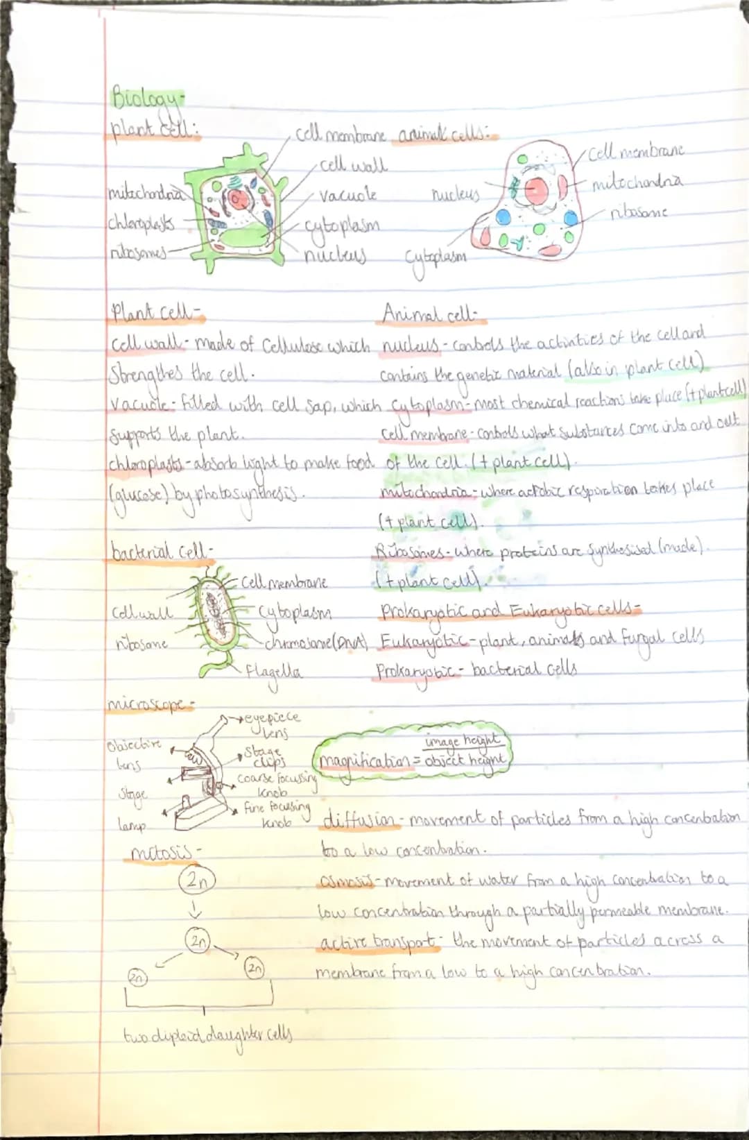 Biology
plant cl
• cell membrane animal cells:
-cell wall
milachandra
Vacuole
Chloroplasts
-cytoplasm
ribosomes-
nucleus
Cell membrane
-mito