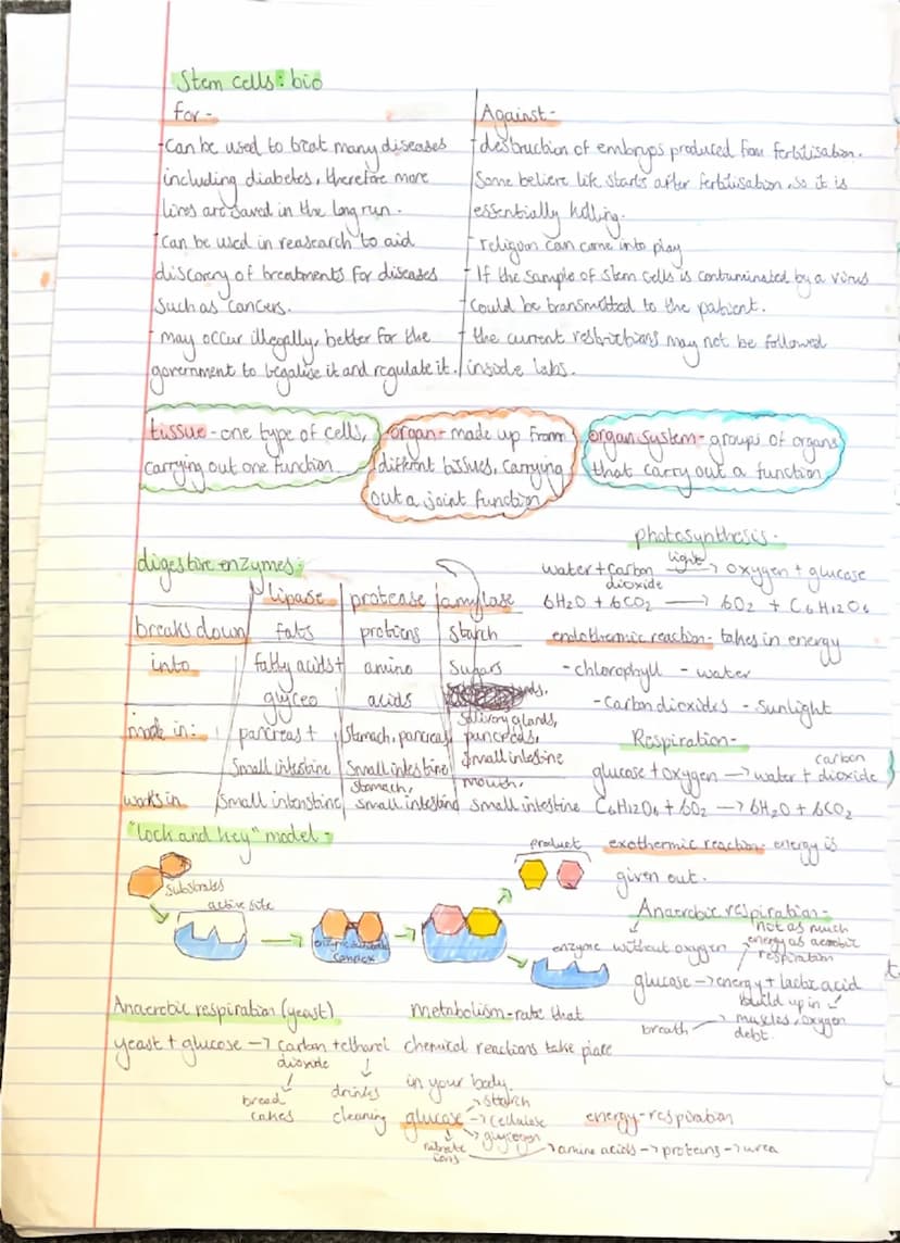 Biology
plant cl
• cell membrane animal cells:
-cell wall
milachandra
Vacuole
Chloroplasts
-cytoplasm
ribosomes-
nucleus
Cell membrane
-mito
