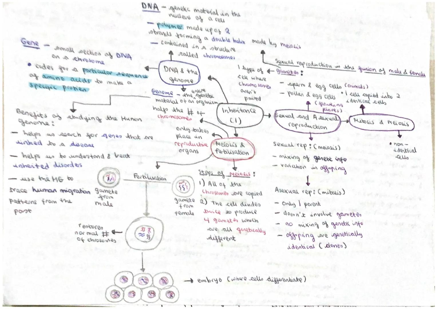 Piu
• contrains hormones to
Inhibit FSt1 production
30 no eggs mature
기
highly effective is taken
correctly
• increased nsk af
breast cancer
