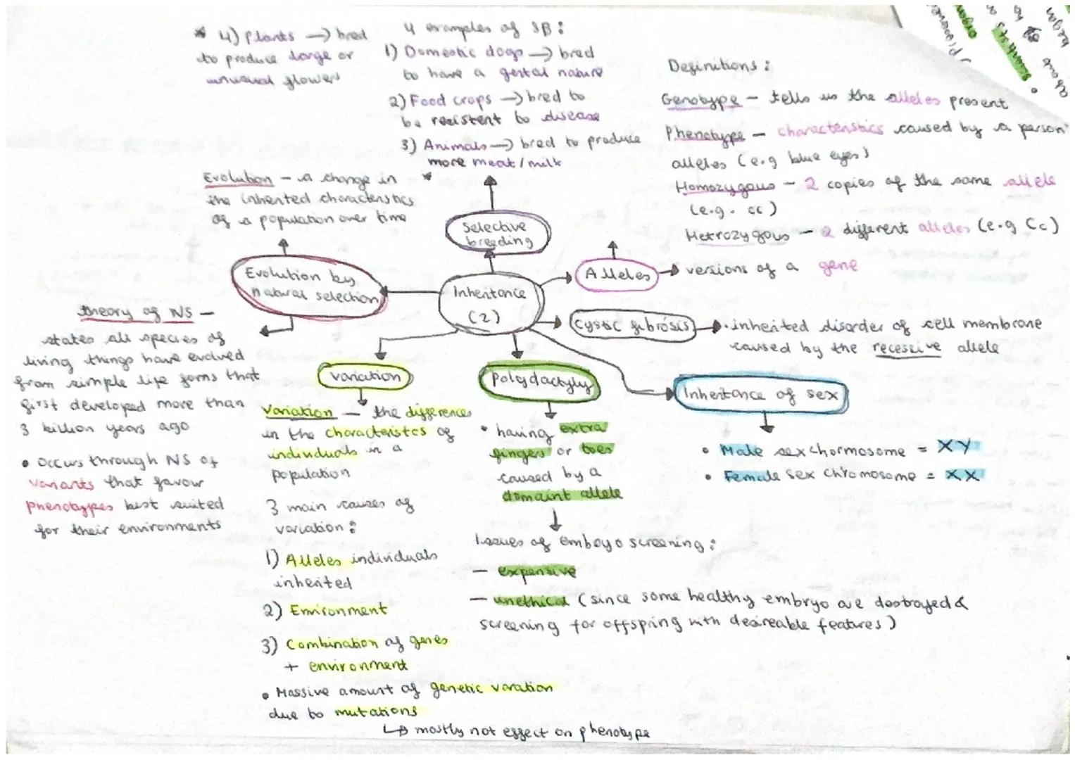 Piu
• contrains hormones to
Inhibit FSt1 production
30 no eggs mature
기
highly effective is taken
correctly
• increased nsk af
breast cancer