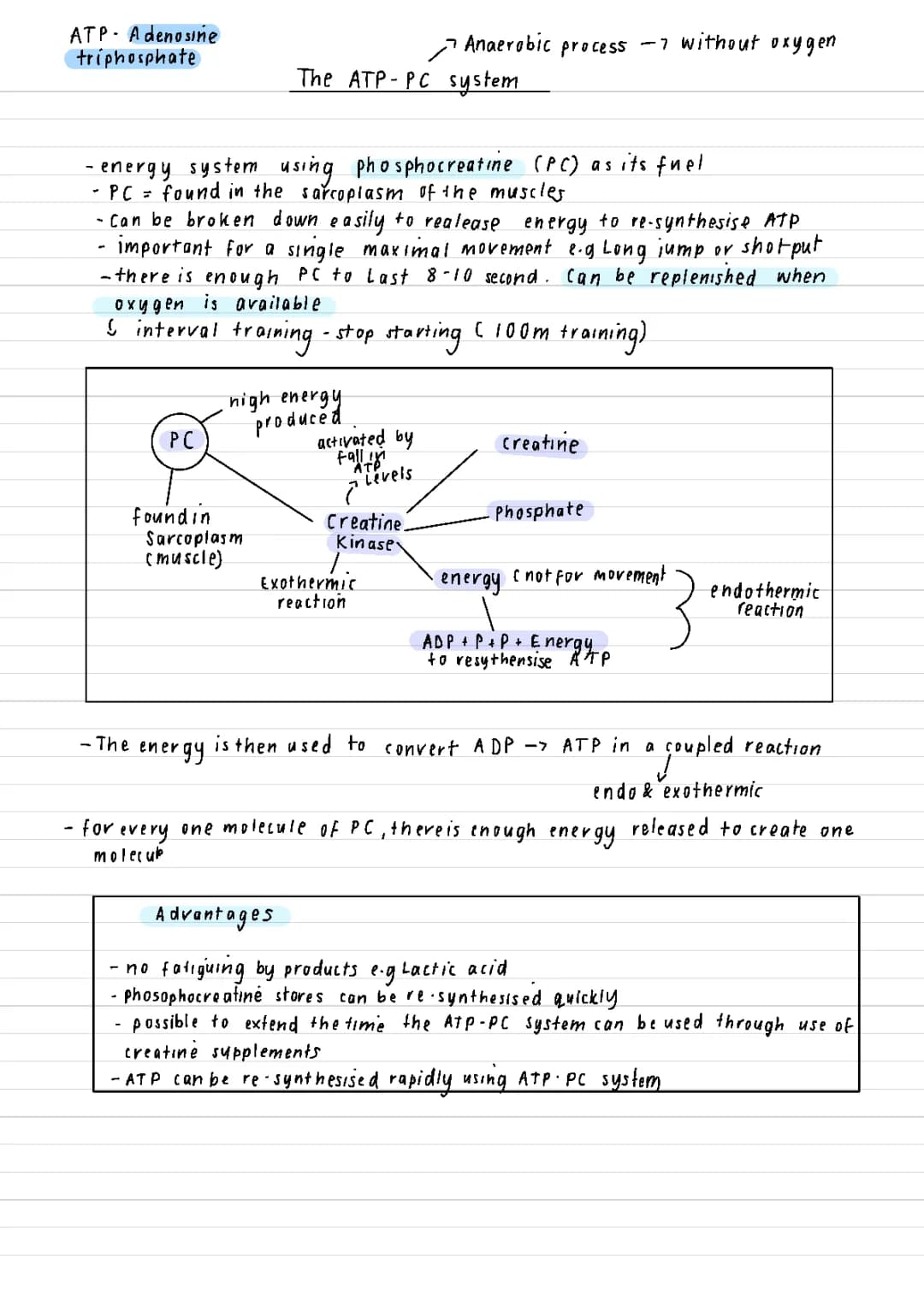 ATP-PC energy system AQA A Level PE