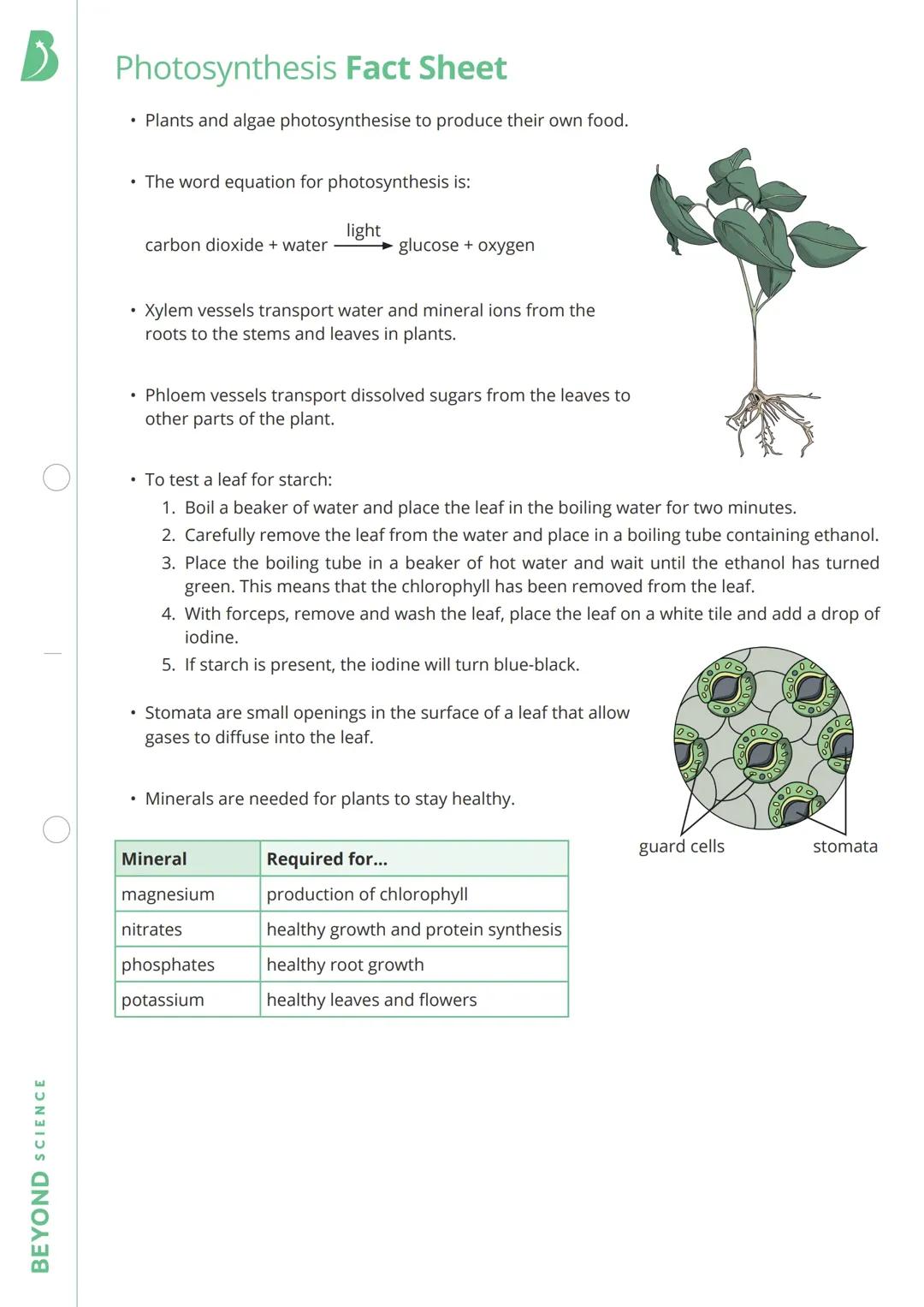 Photosynthesis and Plant Nutrition
