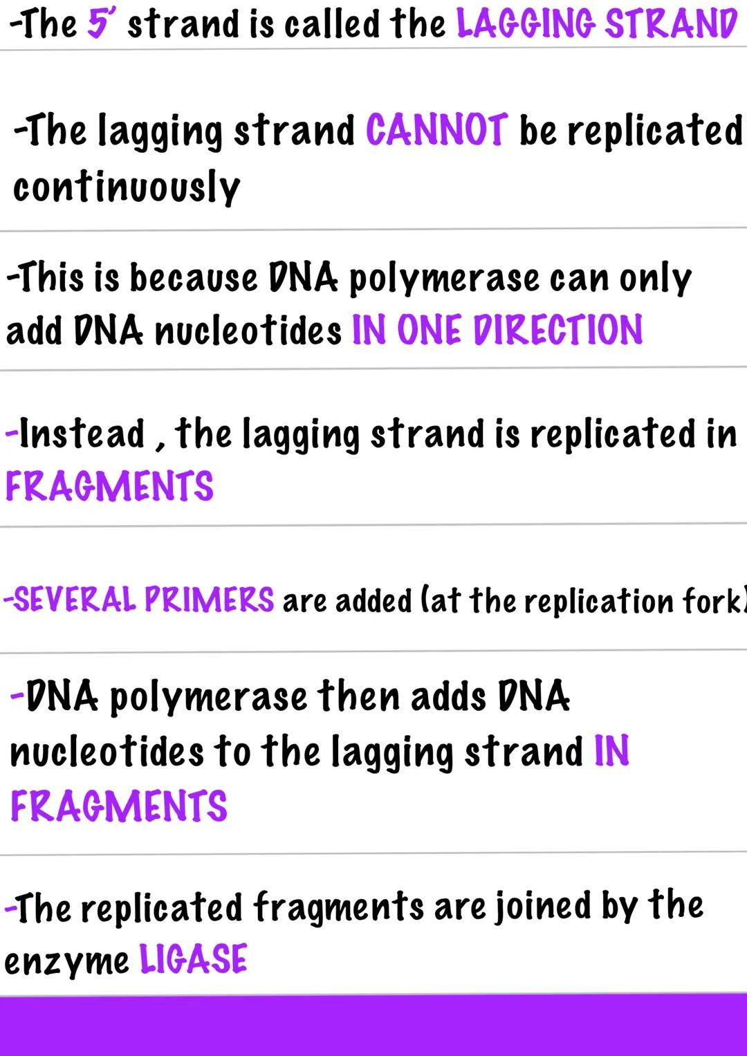 PCR
-PCR is used to AMPLIFY TARGET SEQUENCES of
DNA
-This is done over many cycles (20-30) to produce
millions of copies of the target seque