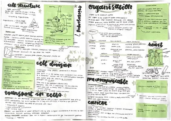 Know Biology paper 1 mindmap thumbnail