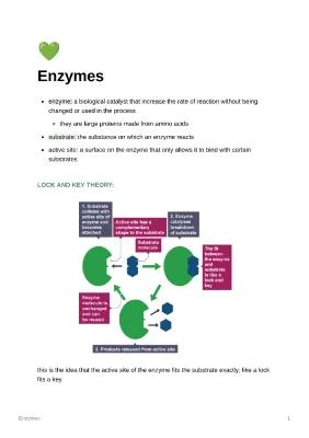 Know GCSE Biology - Enzymes thumbnail