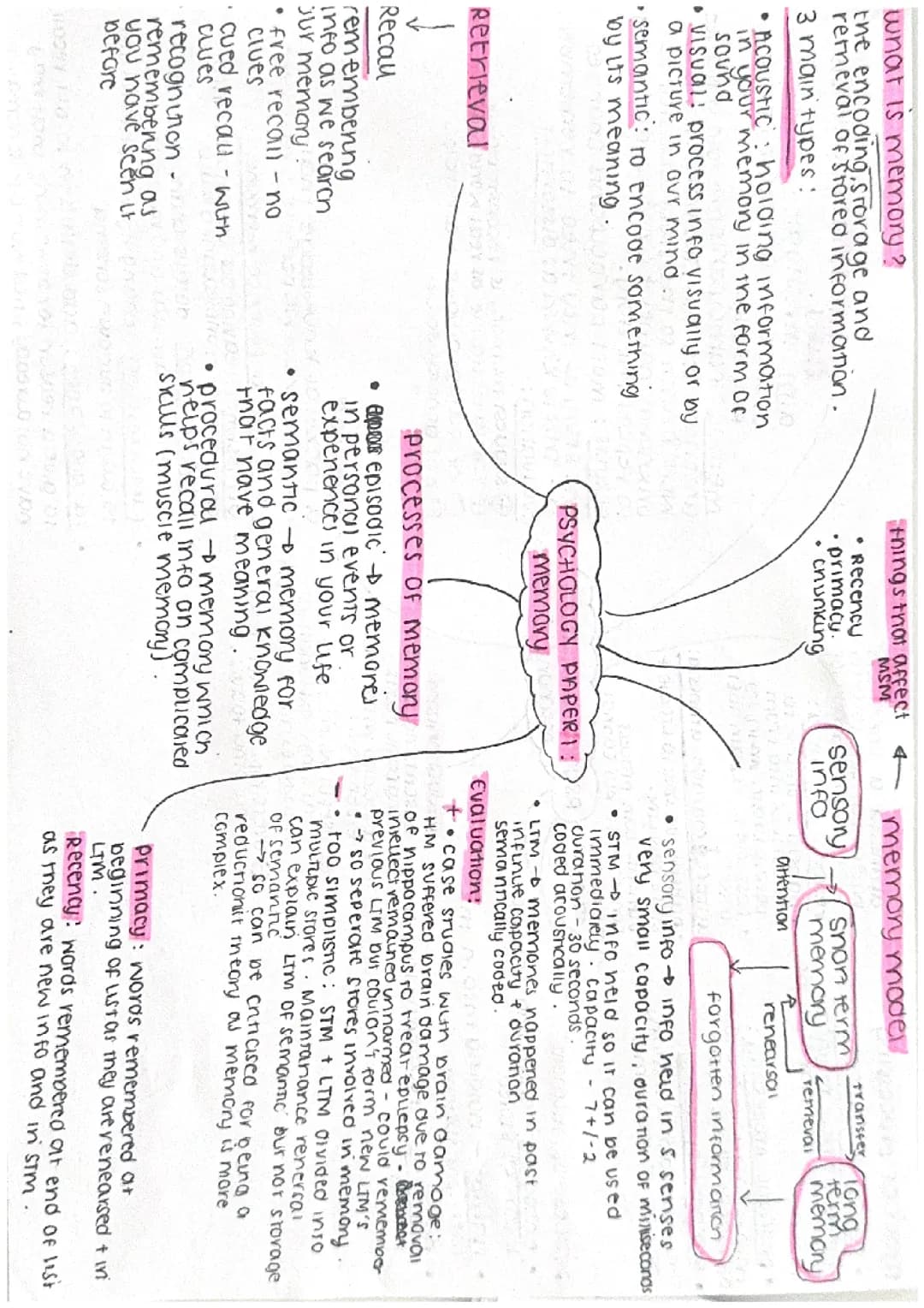 Memory - GCSE Psychology Paper 1 AQA