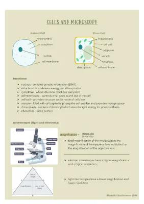 Know Cells and Microscopy (GCSE) thumbnail